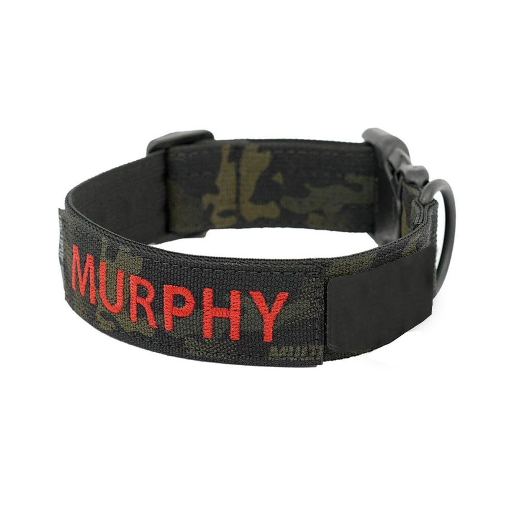 Personalisiertes Hunde Halsband