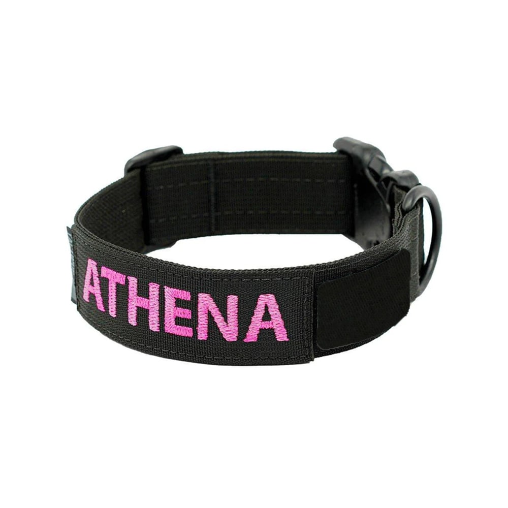 Personalisiertes Hunde Halsband